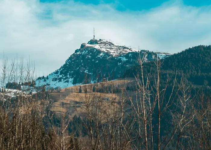 Domek alpejski Ninni *